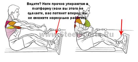 Тяга тренажер на спину – Базовые и вспомогательные упражнения на спину ...
