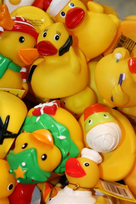 Rubber Ducky Your The One | Smithsonian Photo Contest | Smithsonian ...