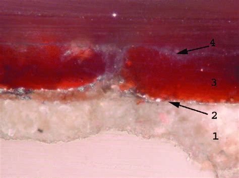 stratigraphic section   sample  scientific diagram