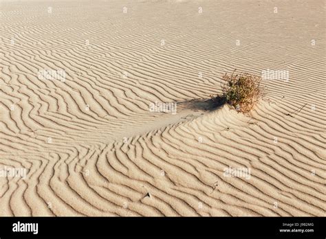 Lines in the sand of a beach, close up Stock Photo - Alamy