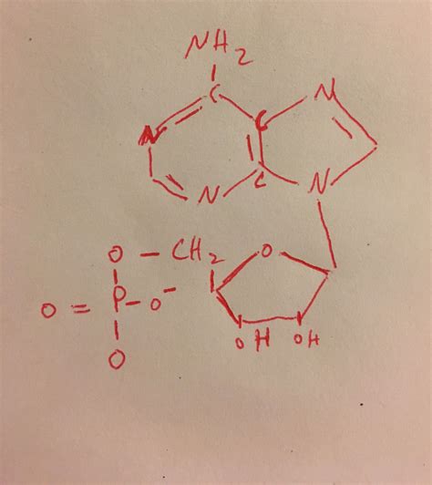 AMP - DocCheck