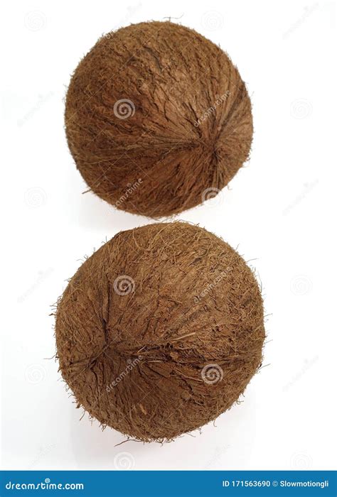 NOIX DE COCO stock photo. Image of exotic, botany, ingredient - 171563690
