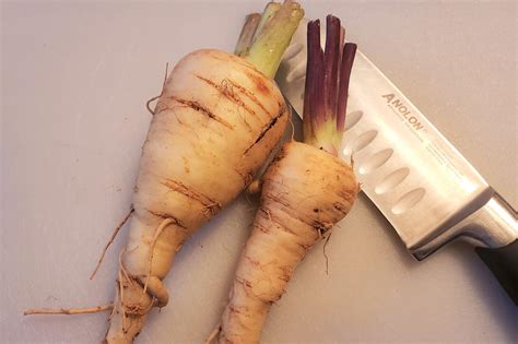 Harvest and Store Parsnips – Crazy for Gardening