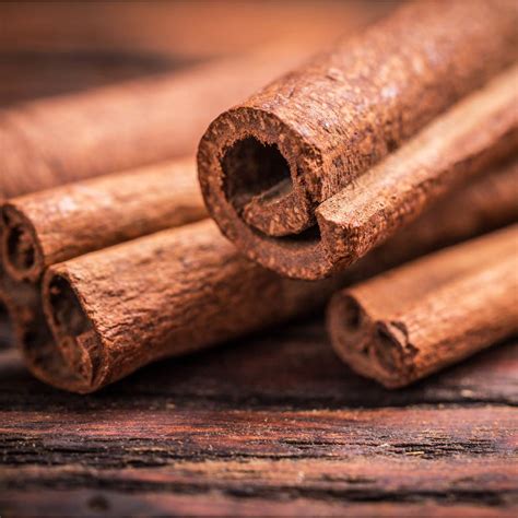 Ceylon Cinnamon Bark Extract (Cinnamomum Zeylanicum) – DR.VEGAN