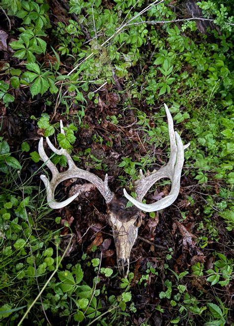 Macy Watkins - Macy Watkins added a new photo — in Ohio.