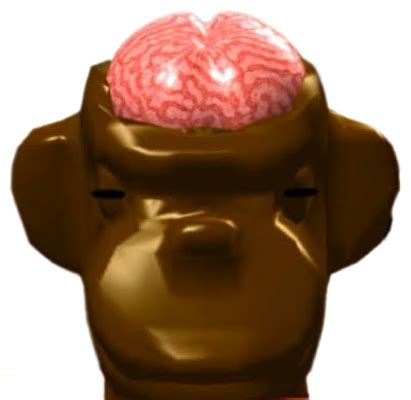 monkey brain png  jakeyfrollogothel  deviantart
