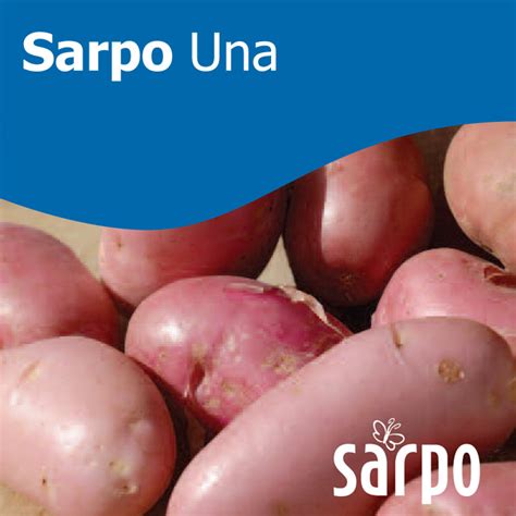 Sarpo Una