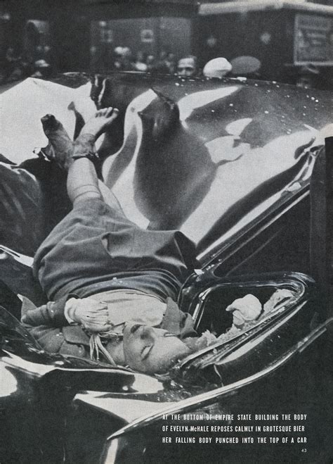 Evelyn McHale - jwf