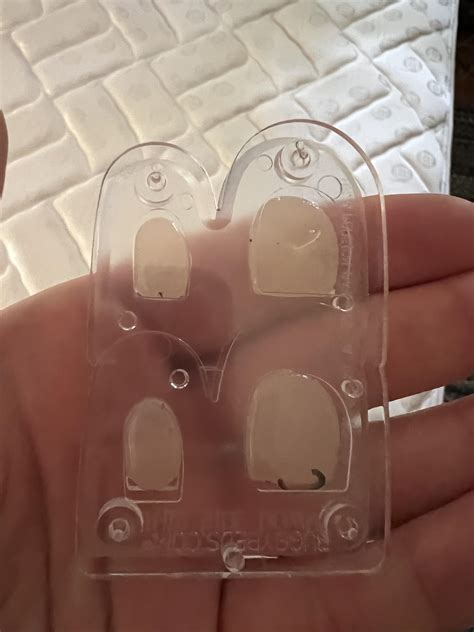 Smear in rental cabin, found trap, bugs?? : r/Bedbugs