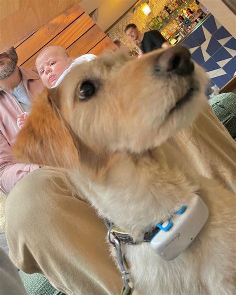 Julia D'Albert Pusey