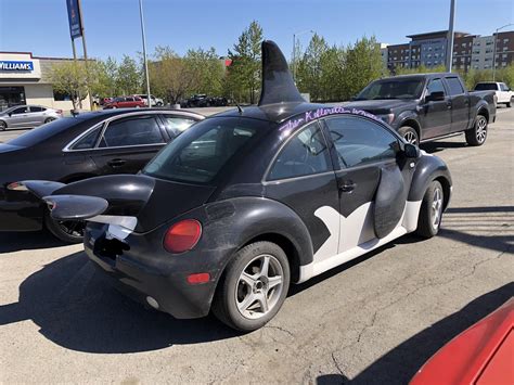I FOUND THE PERFECT CAR FOR LILY! Aesthetic: 10/10! Size: Smol and cute