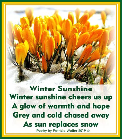winter sunshine  poets corner