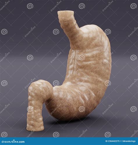 3D Render Of Stomach With Gastric Band Royalty-Free Stock Photography