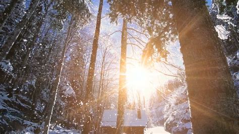 christmas  december britannica