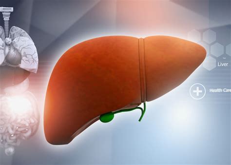 Healing Fatty Liver: How Naturopathic Medicine Can Transform Your Liver
