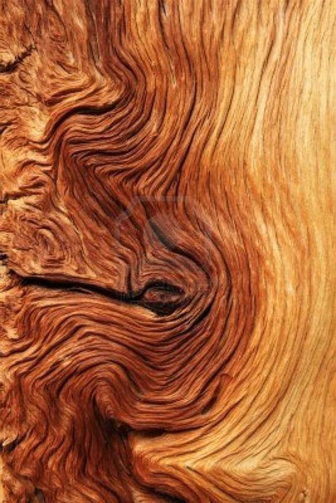 Фактуры дерева | Tree textures, Wood texture, Texture