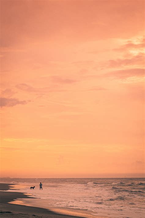 80,000+ Best Daytona Beach Photos · 100% Free Download · Pexels Stock ...