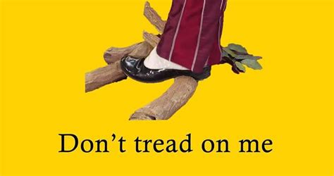 Official Gadsden Flag : r/vexillologycirclejerk