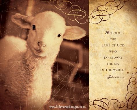John 01 — THE LAMB OF GOD - Life Verse Design