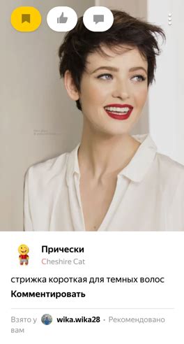 Finding the best option - Yandex.Collections. Support