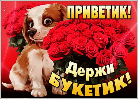Открытка привет с букетом- Скачать бесплатно на otkritkiok.ru