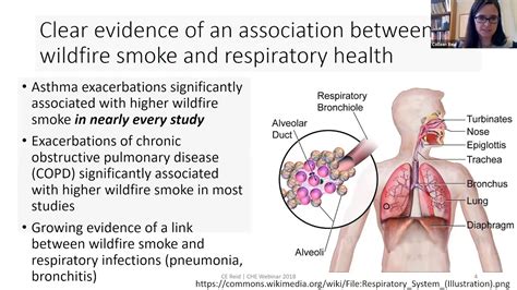 CHE Webinar: Wildfire Smoke: Impacts on Public Health and Lived ...