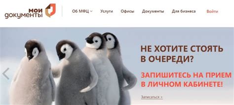 Адреса отделений МФЦ по России и телефоны горячей линии - МФЦ услуги