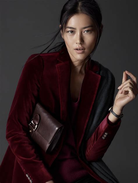 Liu Wen | Wiki Drama | Fandom