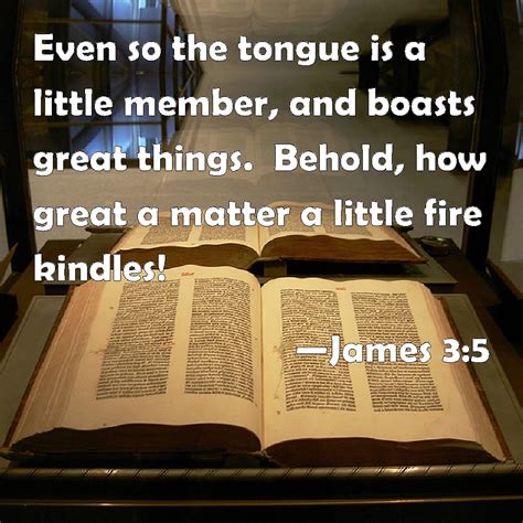 James 3:5 Even so the tongue is a little member, and boasts great ...