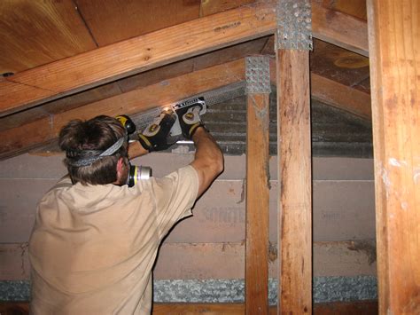 Trapping Rats and Mice in Your Home | Rat vs Mouse