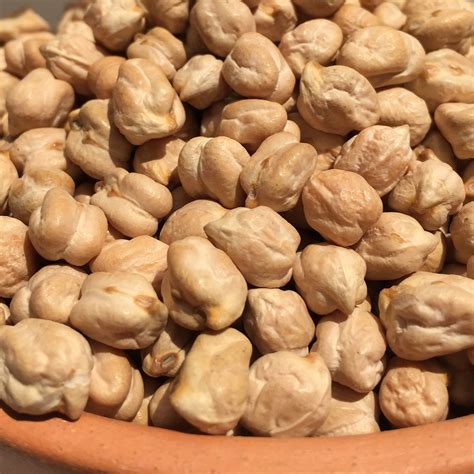 Chana