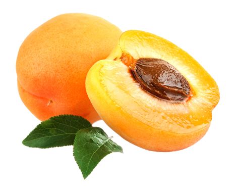 12 Beauty Benefits of Apricot Kernel Oil - beautymunsta
