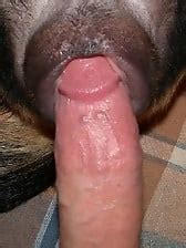 Doggy with meaty cock nicely cums in a tight pussy