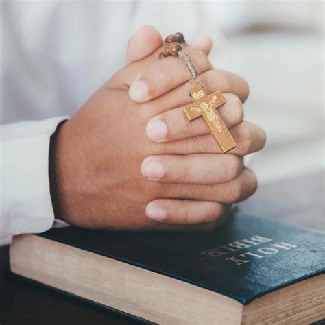 classical education newman catholic classical school holy