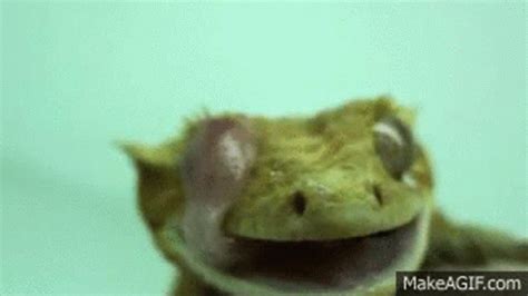 Eyeball Lick GIF - Eyeball Lick - Discover & Share GIFs
