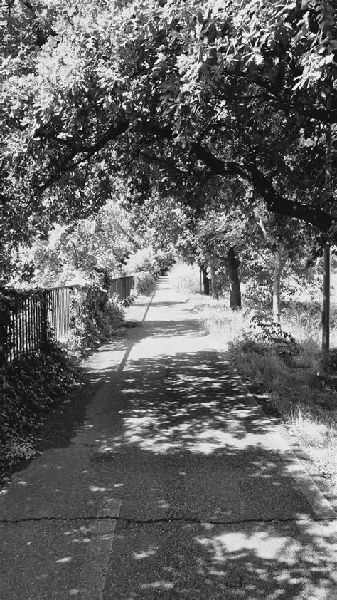 Big+Black+Ass+Bent+Over Videos, Download The BEST Free 4k Stock Video