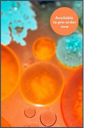 Book Page Germany – Abir Mukherjee