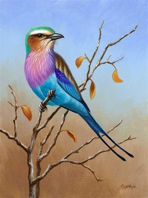 Petit oiseau