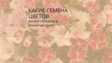 Какие семена цветов можно посадить в ОГ🌼Усадьба-Семена поможет с ...