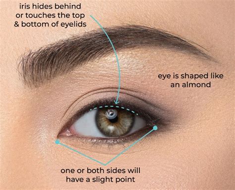 Do You Have Almond Eyes - It's Time To Find Out