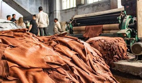 India's Leading Leather Company In Leather Industry - Stan India