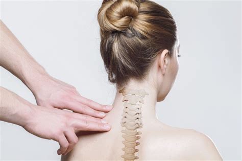 The Different Types of Chiropractors – Fact’s Healthcare Students ...
