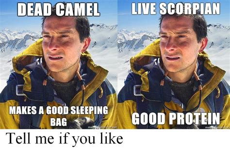 bear grylls