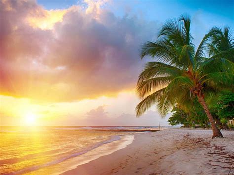 Caribbean Beach Sunset Wallpaper