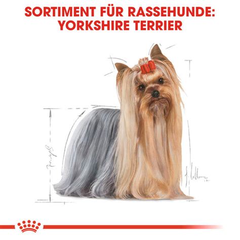 Royal Canin Yorkshire Terrier Adult Wet