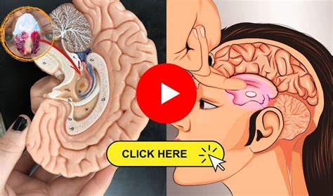 Pineal Gland 7 Seconds Activation Method