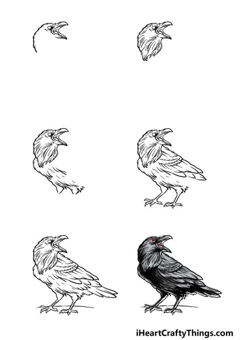 Raven Drawing - How To Draw A Raven Step By Step