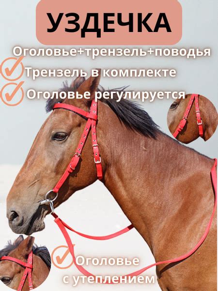 Уздечка для лошади красная Full - купить с доставкой по выгодным ценам ...