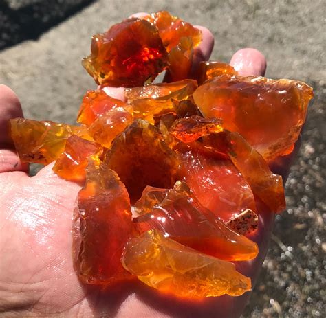 Essential Tools And Expert Tips For Successfully Mining Opals In Nevada And Finding Rare Black Fire Gems 10