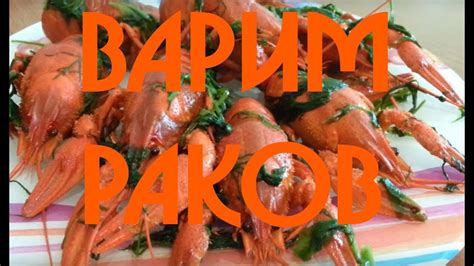 Как варить и приготовить живых раков - YouTube